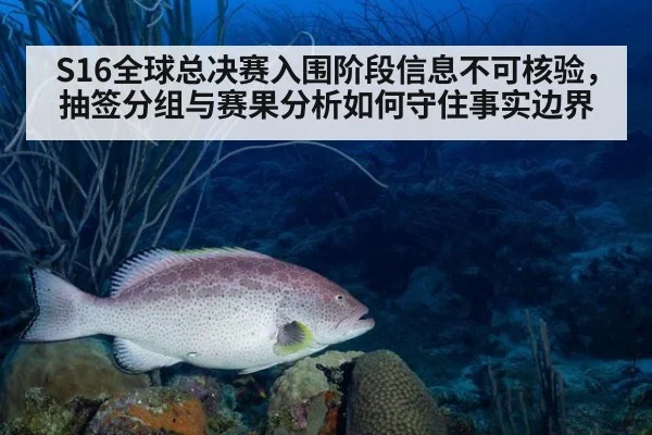 S16全球总决赛入围阶段信息不可核验,抽签分组与赛果分析如何守住事实边界
